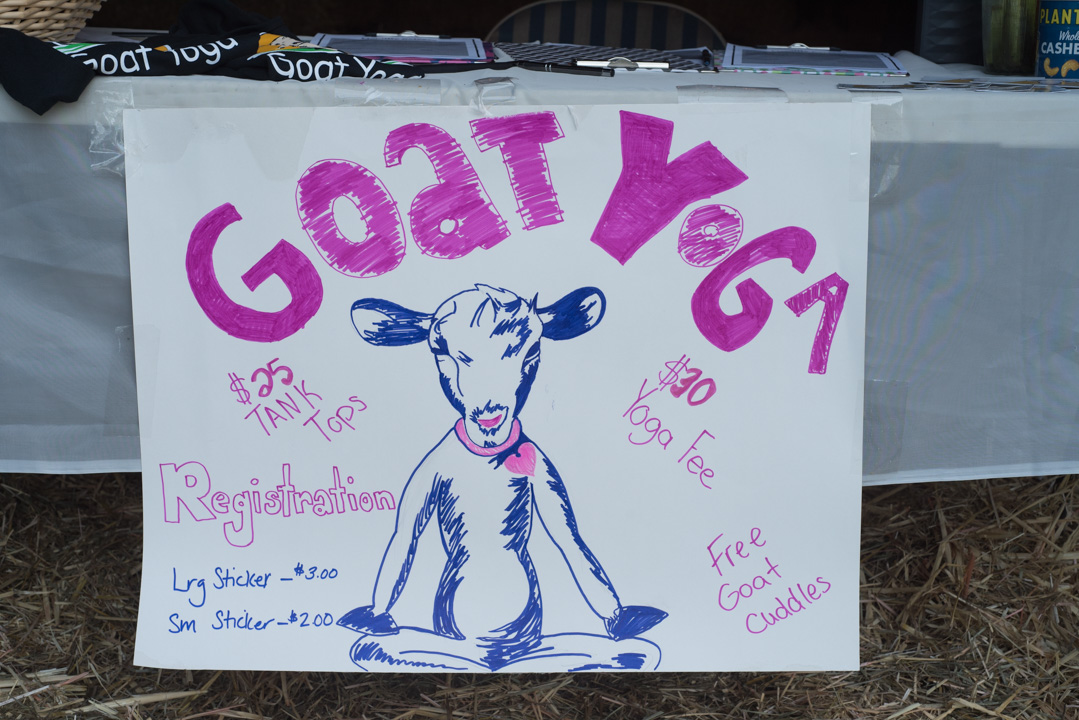 Goat Yoga 2
