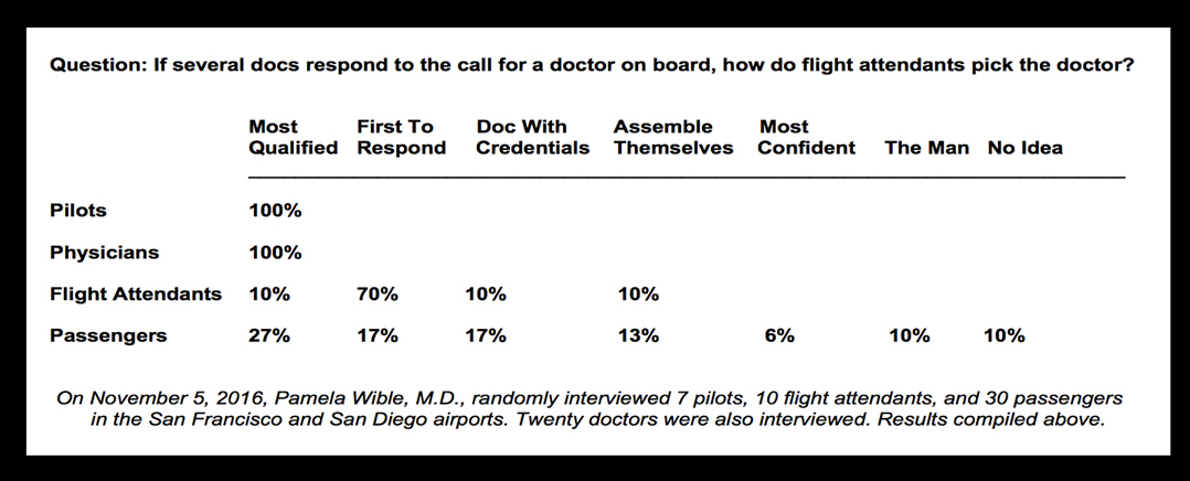 Pamela Wible Airline Emergency