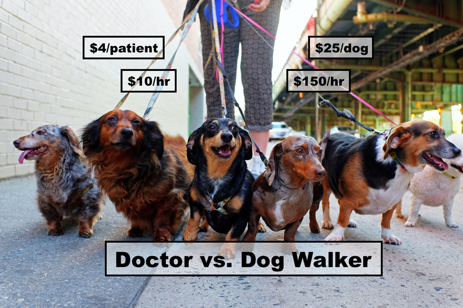 Doctors earns more as dog walker