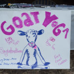 goatyoga2