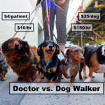 Doctor-Earns-More-As-Dog-Walker2