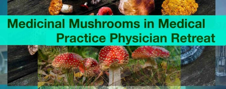Medicinal-Mushrooms-in-Medical-Practice-Physician-Retreat-with-Pamela-Wible