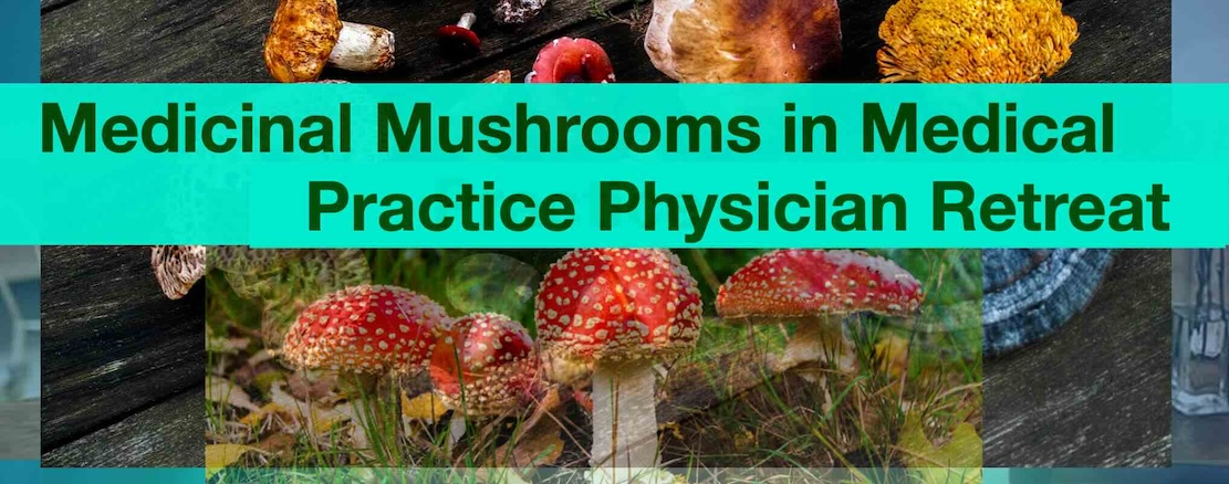 Medicinal-Mushrooms-in-Medical-Practice-Physician-Retreat-with-Pamela-Wible